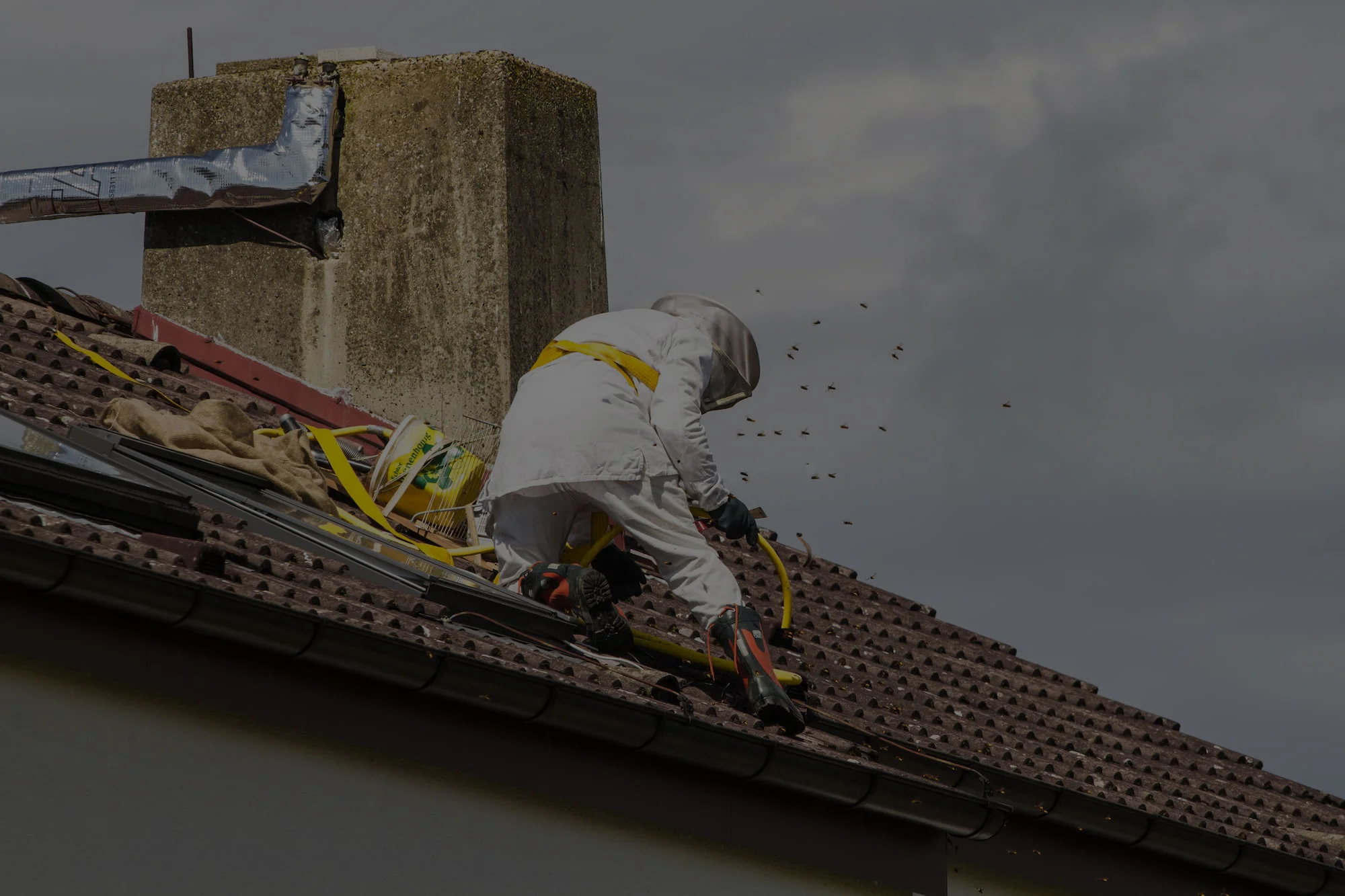 Professionnel retirant un nid de guêpe sur le toit d'une maison en combinaison blanche de sécurité