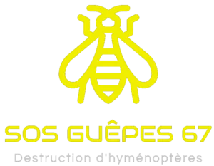 Logo de SOS Guêpes 67