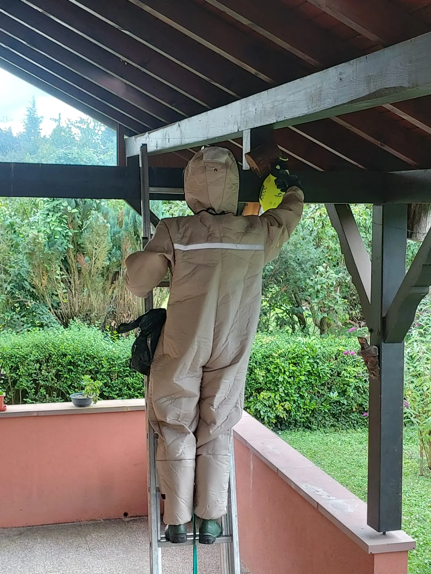 Professionnel retirant un nid de frelons du toit d'une terrasse de jardin